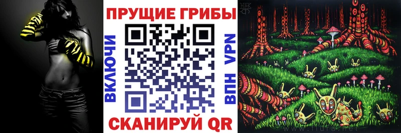 Галлюциногенные грибы мицелий Северо-Курильск
